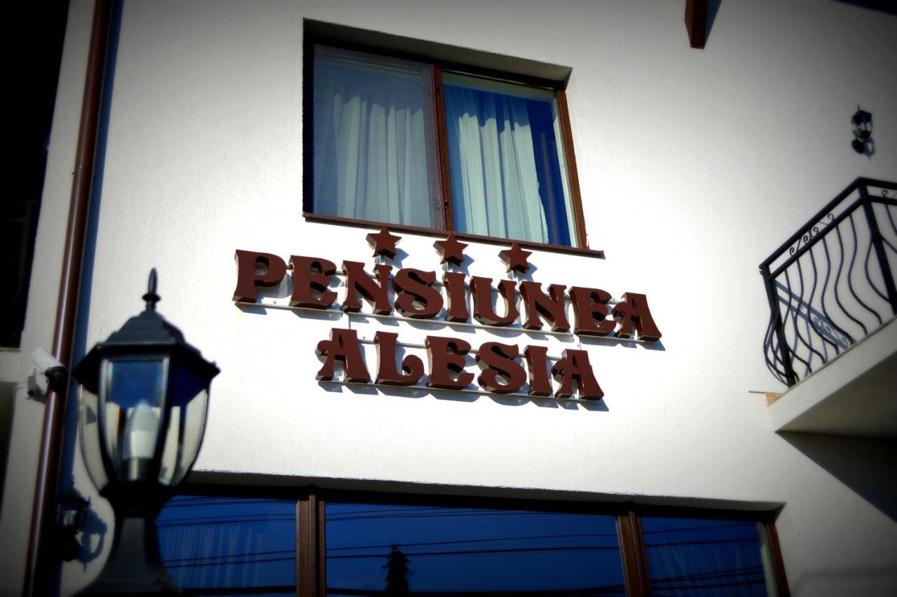 Pensiunea Alesia Pucioasa Exterior foto